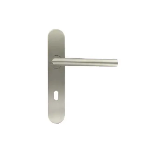 Picture of Handle on plate in stainless steel Model With Vif 1/2 Turn Key Hole x2