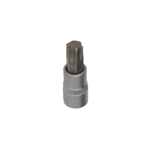 Picture of BRILLIANT TOOLS screwdriver socket - TORX - 3/8" - T55 - BT021949