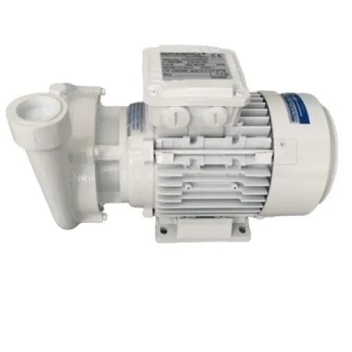 Picture of Fresh and seawater pump CB22/120 230V 0.55kw - Gianneschi