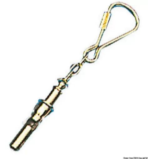 Picture of Pendant polished brass keyring Whistle