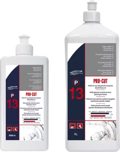 Picture of Polish pro - cut 13 - 500ml