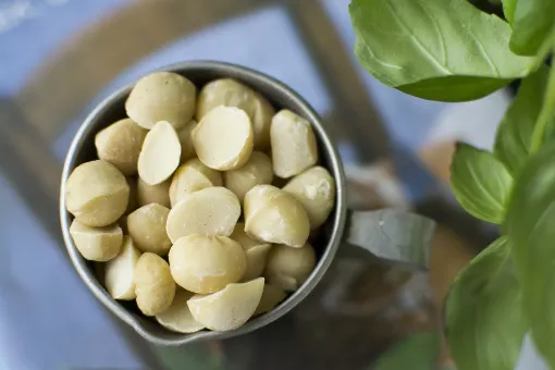 Picture of Roasted and salted macadamia 300g - This is nuts Sweden