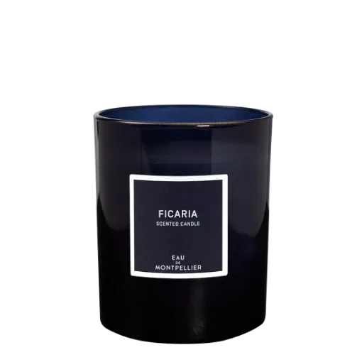 Picture of Ficaria scented candle - 180g - Arthur Dupuy