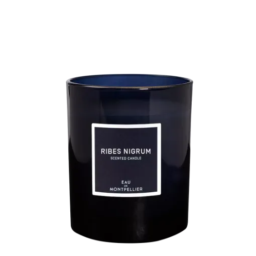 Picture of Ribes Nigrum scented candle - 180g - Arthur Dupuy