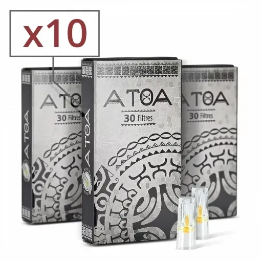 Picture of Atoa filters x10 boxes - Atoa