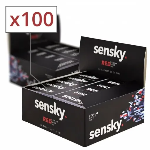 Picture of Cardboard filters sen sky x100 - Sen Sky