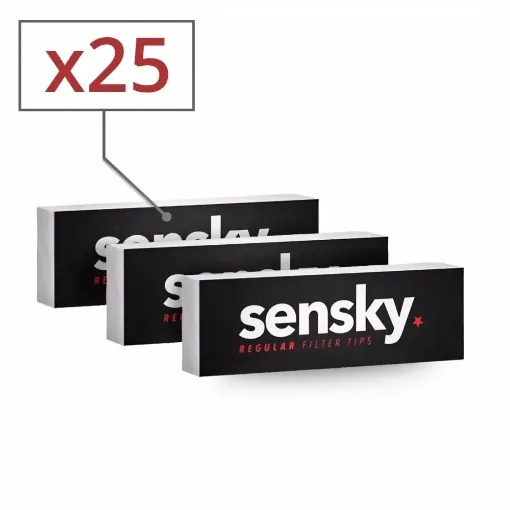 Picture of Cardboard filters sen sky x25 - Sen Sky