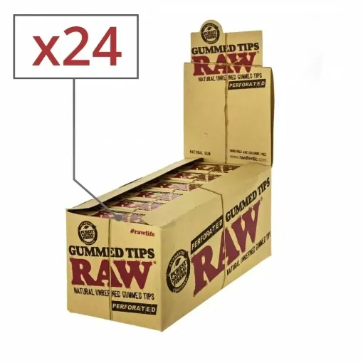 Picture of Raw gummed perforated cardboard filters x24 - RAW