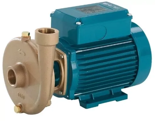 Picture of BCM 22/A close - coupled centrifugal pump - 230V - F7171007000 - Calpeda