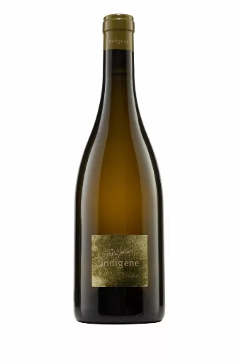 Picture of Pouilly Fume Indigene - Pascal Jolivet - Loire - 2020