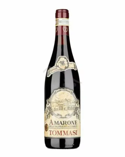 Picture of Amarone della Valpolicella - Tommasi - 2017