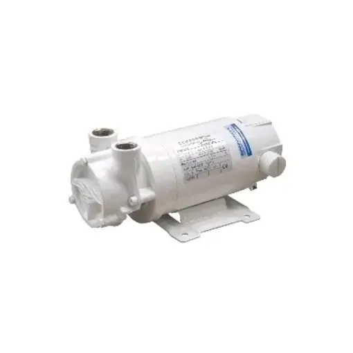 Picture of Liquid ring pump ACB61G - 24V - Gianneschi