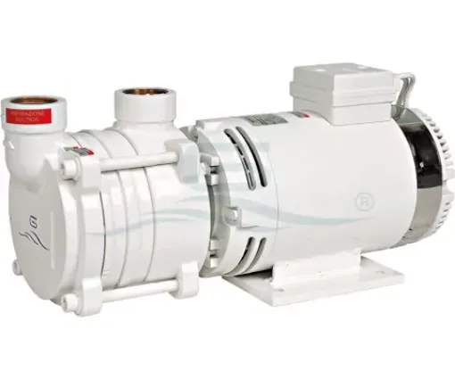 Picture of Liquid ring pump ACB331 - 24V - 01AAC9811 - Gianneschi