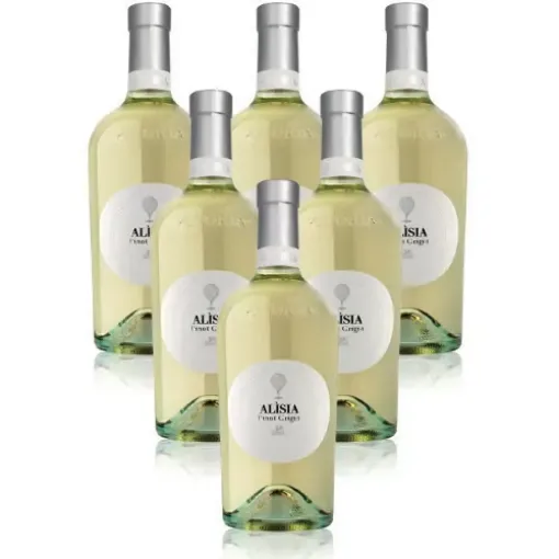 Picture of Alìsia Pinot Grigio DOC - 750ml x 6 - Astoria