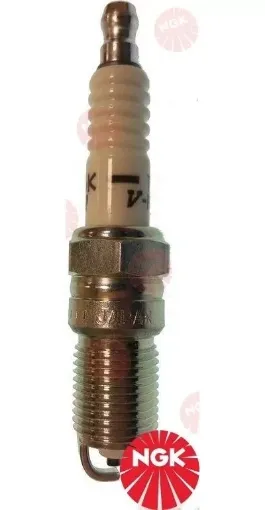 Picture of Spark plug - TR5 - NGK