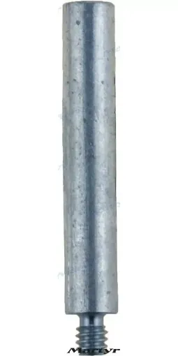 Picture of Anode caterpillar - CM6L2283 - Martyr