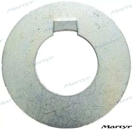 Picture of Radice washer 40 shaft - CMD40C - Martyr