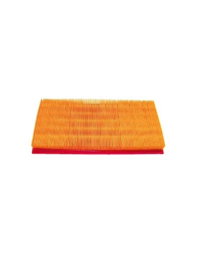 Picture of AIR FILTER 876185