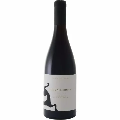 Picture of Domaine des Landions - Cailloutis - Pinot Noir