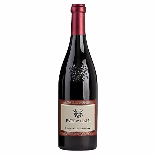 Picture of Patz & Hall - Sonoma Coast - Pinot Noir - 2015 - 750ml - Patz & Hall