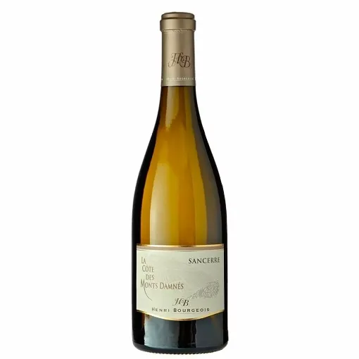 Picture of Henri Bourgeois - Sancerre - Côte des Monts Damnés - 2020 - 750ml - Henri Bourgeois