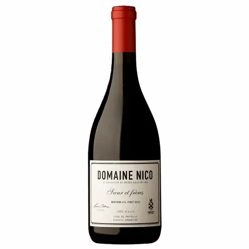 Picture of Domaine Nico - Histoire d'A - Pinot Noir - 2020 - 750ml - Domaine Nico