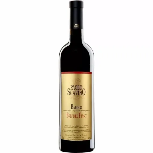 Picture of Paolo Scavino - Bric del Fiasc - Barolo