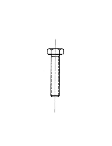 Picture of METAL SCREWS HEX. HEAD 05X60