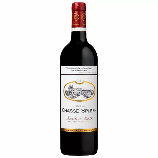 Picture of Château Chasse-Spleen - Rouge - 2005 - 750ml - Château Chasse-Spleen