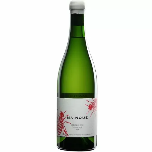 Picture of Bodega Chacra - Mainque - Chardonnay