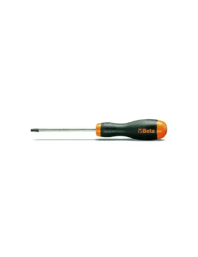 Picture of TOURNEVIS TORX T10 80MM