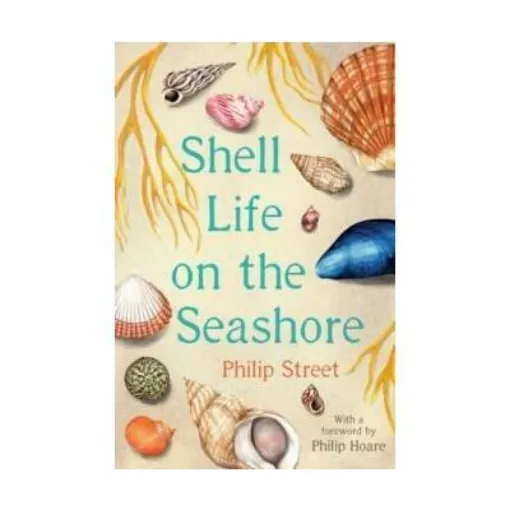 Picture of Shell Life on the Seashore