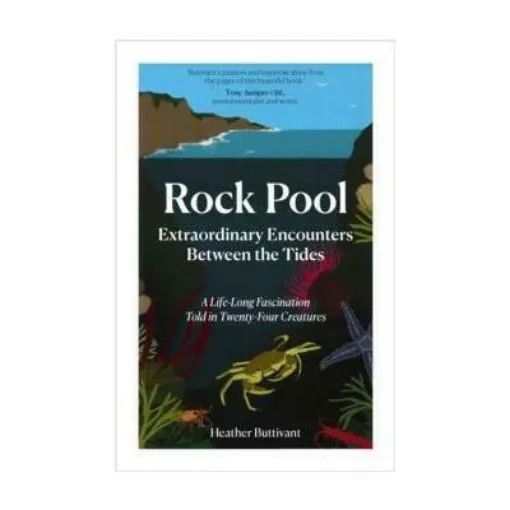 Picture of Rock Pool - Extraordinary Encounters Between the Tide