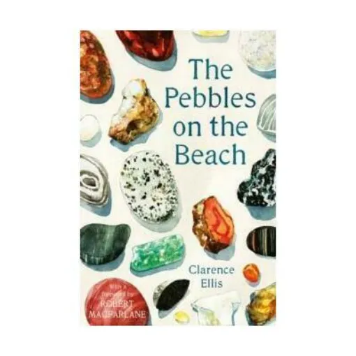 Picture of The Pebbles on the Beach