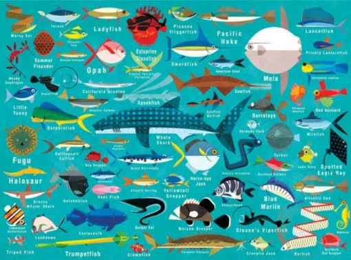 Picture of Ocean Life 1000 piece Family Puzzle