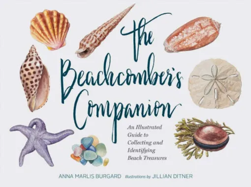 Picture of Beachcomber's Companion : An Illustrated Guide to Collecting and Identifying Beach Treasures