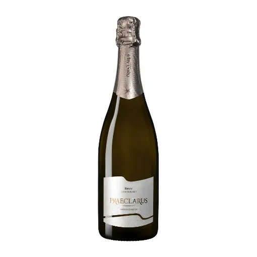 Picture of Italian Sparkling Wines Praeclarus Brut Blanc De Blancs Aa Doc San Paolo - 750ml