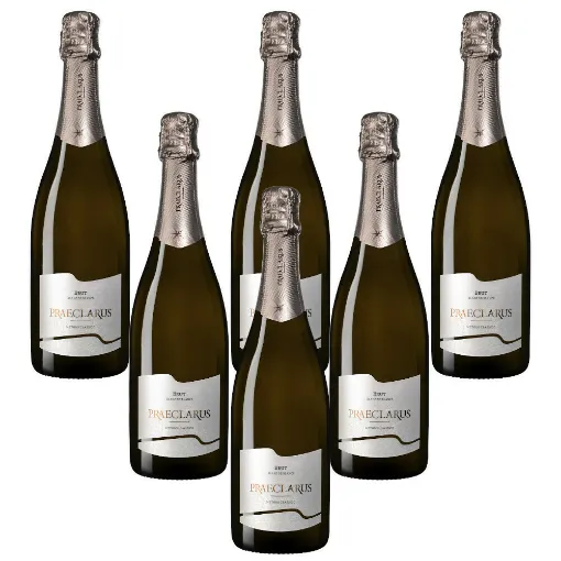 Picture of Italian Sparkling Wines Praeclarus Brut Blanc De Blancs Aa Doc San Paolo  - 750ml x 6