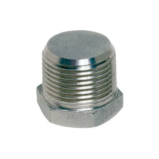 Picture of 1' stainless steel male plug - Guidi