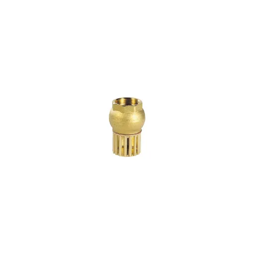 Picture of 2' brass strainer valve - OEM