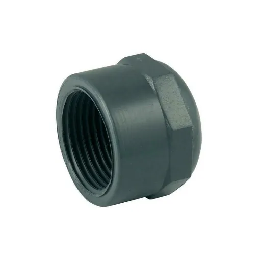 Picture of Female pvc plug 1'1/2 - OEM