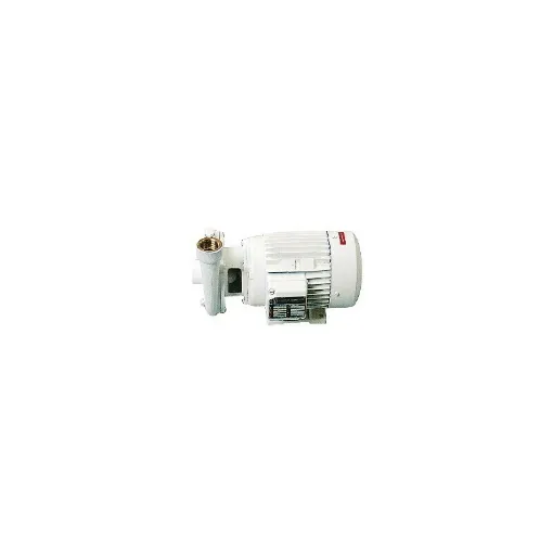 Picture of CB22-120 230V 0.55kW pump - Gianneschi