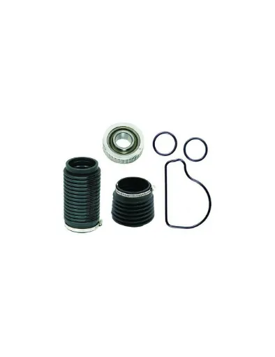 Picture of BELLOWS/BEARINGS/SEAL KIT