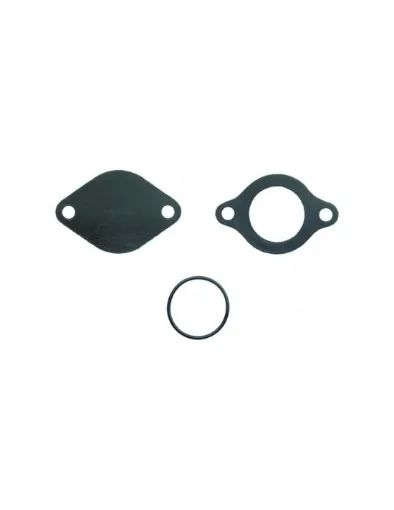 Picture of Thermostat gasket kit