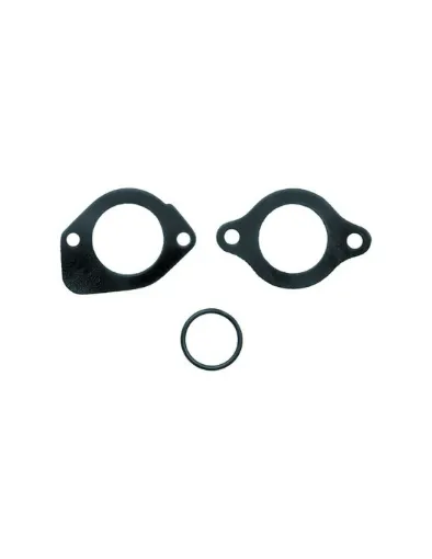 Picture of THERMOSTAT GASKET KIT