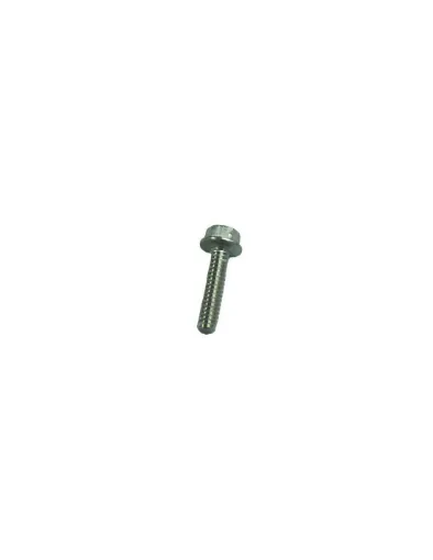 Picture of 2 HEX SCREWS/WASHERS