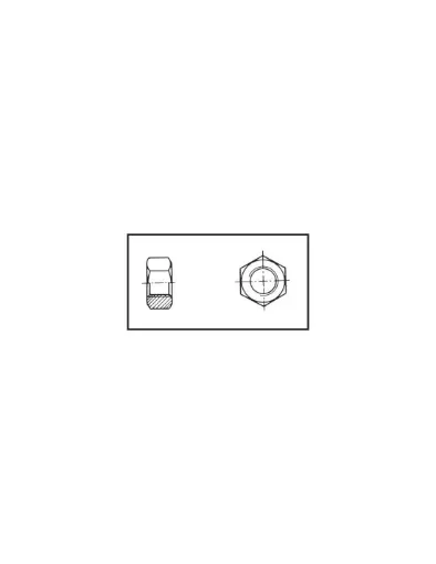 Picture of Hexagon nut ø 10 mm 316 stainless steel DIN 934 / ISO 4032