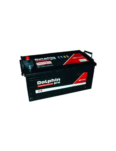 Picture of Dolphin Pro 225 A battery