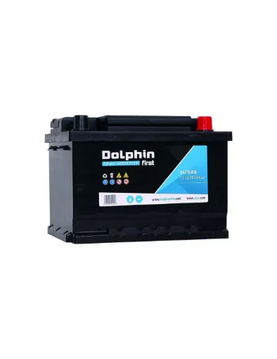 Picture of Dolphin First 110A battery