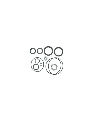 Picture of GASKET KIT 876267